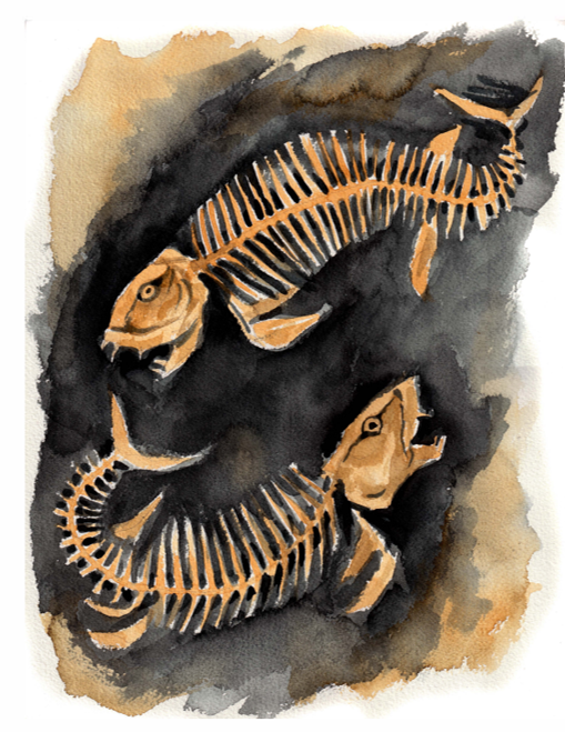 An illustration of two rhizodont fish by Carmen Cerra from the first "Dana Digs Dinosaurs" book. 